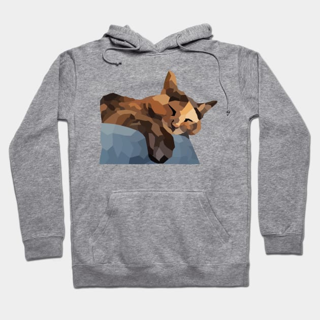 Tortie Low Poly Hoodie by nonbeenarydesigns